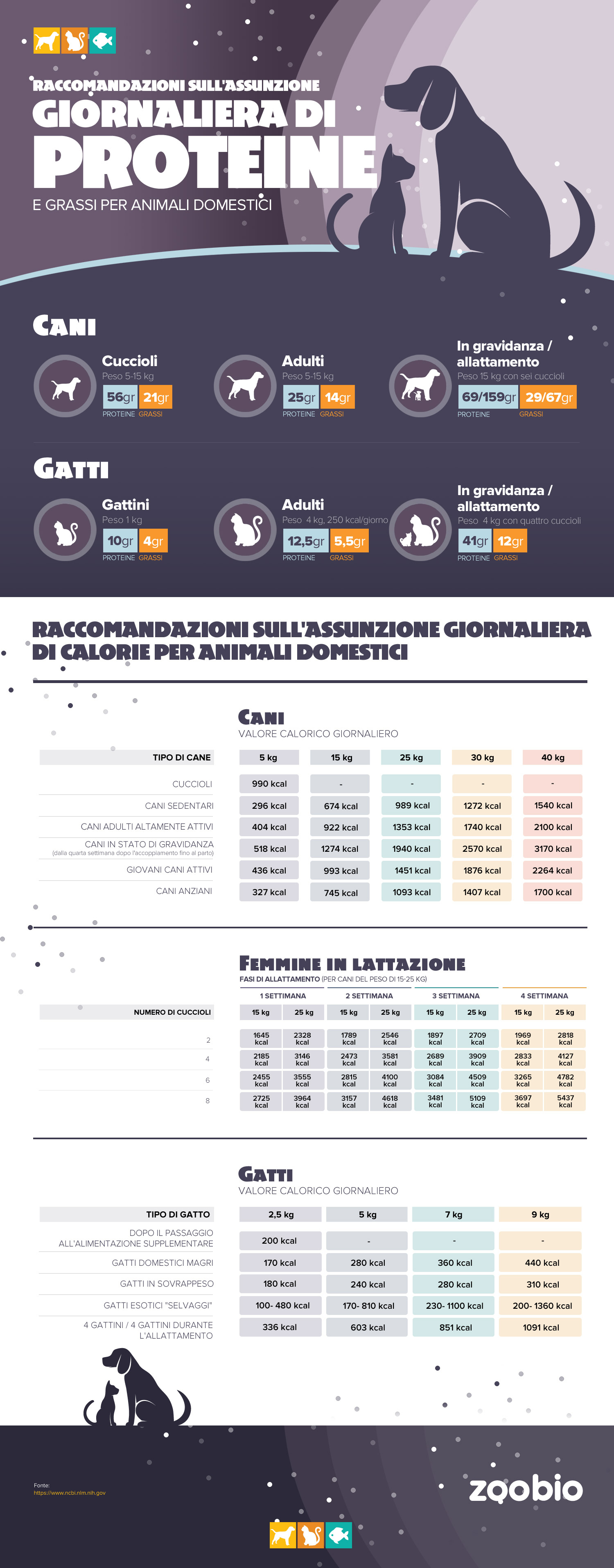 Raccomandazioni sull´assunzione giornaliera di proteine e grassi per animali domestici