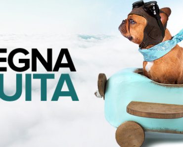 servizio di spedizione gratuita